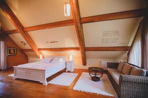 Червона Рута 12