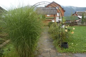 Червона калина 2