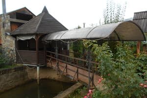 Червона калина 3