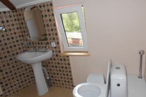 Червона калина 4