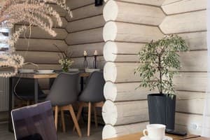 Четыре сезона 22