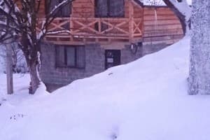 Цвет Яблони 14