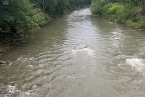 Цветная жизнь 3