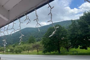 Цветная жизнь 7