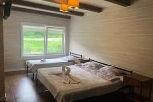 Цветная жизнь 8