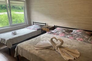 Цветная жизнь 9