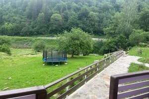 Цветная жизнь 23