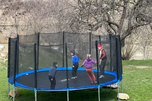 Цветная жизнь 24