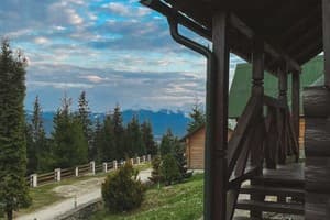 Цветущая гора 3