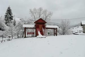 Деревянный 10