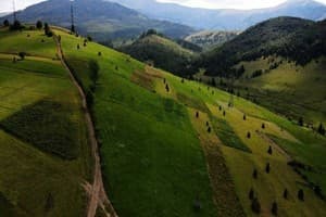 Деревянный 17