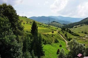 Деревянный 18