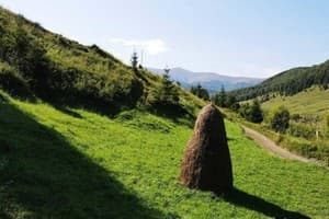 Деревянный 19