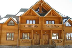 Дикий кот 10