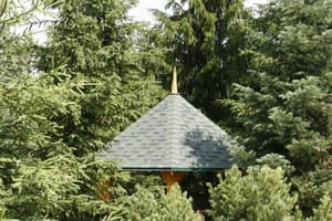 Дикий кот 3