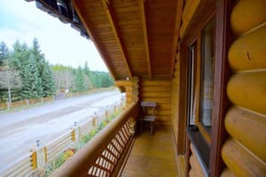 Дикий кот 8