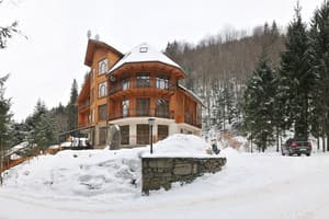 Дикий мед 41