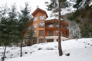 Дикий мед 42