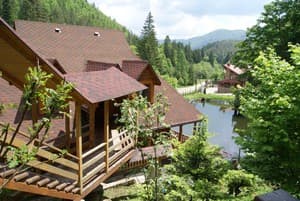 Дикий мед 26