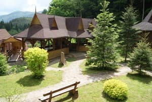 Дикий мед 28