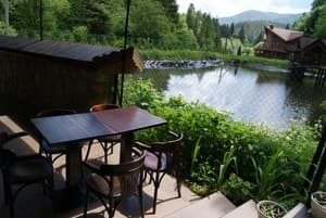 Дикий мед 32