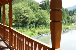 Дикий мед 33