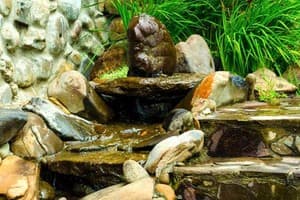 Дикий мед 20