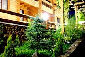 Дикий мед 18