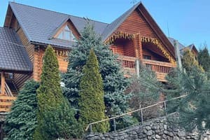 Дикий мед 29