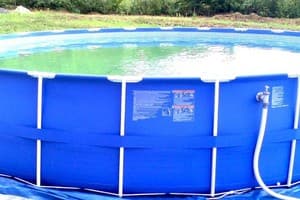 Дикий мед 25