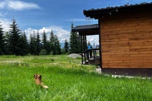 Дискавери 34