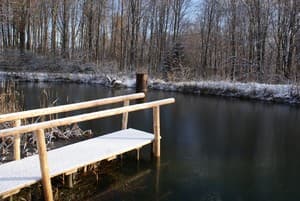 Долина Николая 2