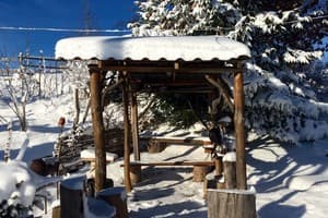 Долина Николая 3