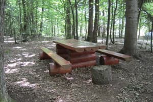 Дом Карпатского Мольфара 19