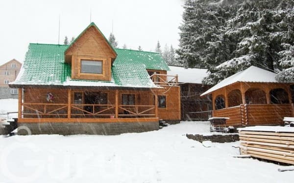 Дом Звиздарюка (Пролисок) 10