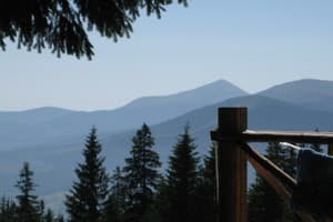 Дом Звиздарюка (Пролисок) 11