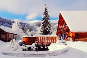 Домик в горах 10