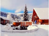 Домик в горах 10