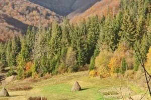Частная усадьба Домик в горах. Стандарт 4-местный №11 3