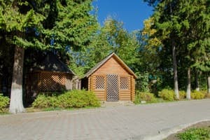 Эдельвейс 4