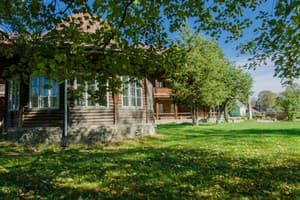 Эдельвейс 10