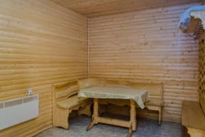 Эдельвейс 12