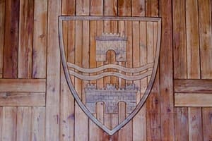 Эдельвейс 10