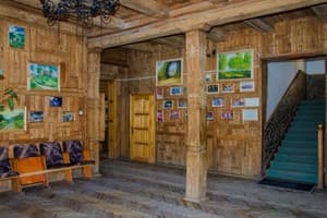 Эдельвейс 11