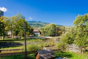 Эдельвейс 14