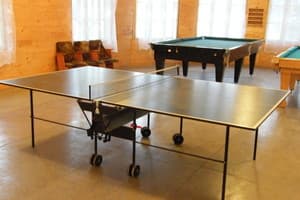 Эдельвейс 14