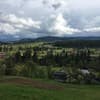 Edelveys 4-5/19