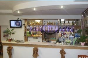 Эдельвейс 1