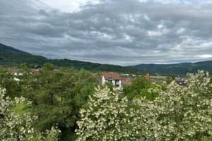 Отель Еліт. Люкс двухместный двухуровневый 8