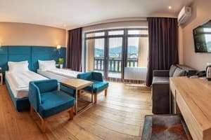 Спа-отель F&B SPA RESORT. Делюкс 4-местный двухкомнатный BURSHTYN 1